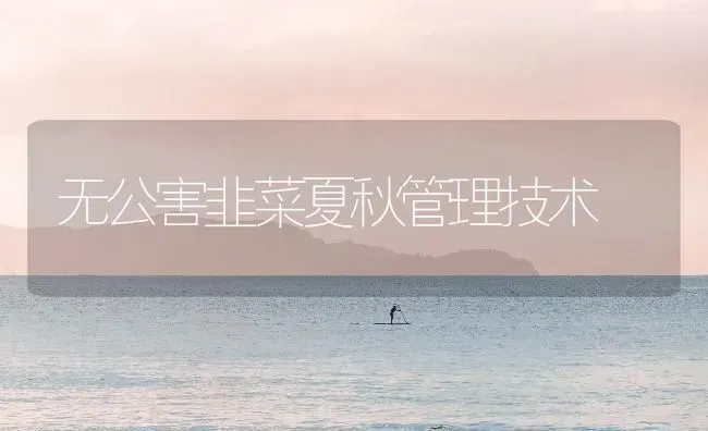 无公害韭菜夏秋管理技术 | 蔬菜种植