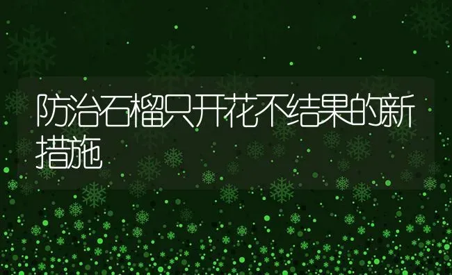 防治石榴只开花不结果的新措施 | 瓜果种植