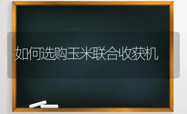 如何选购玉米联合收获机 | 粮油作物种植