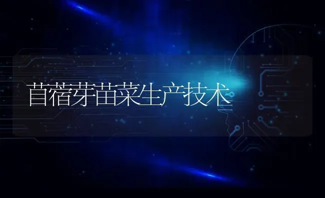 苜蓿芽苗菜生产技术 | 蔬菜种植