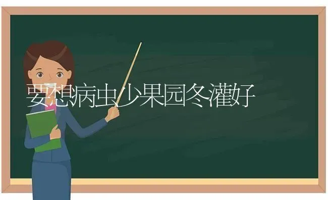 要想病虫少果园冬灌好 | 瓜果种植