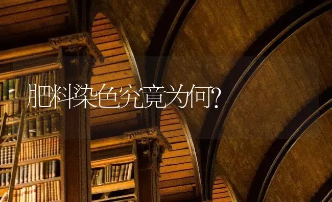 肥料染色究竟为何？ | 种植肥料施肥