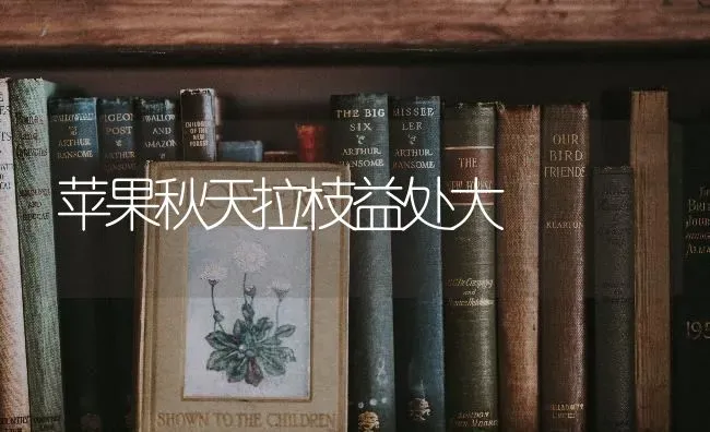 苹果秋天拉枝益处大 | 瓜果种植