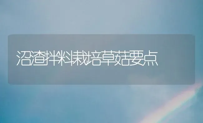 沼渣拌料栽培草菇要点 | 食用菌种植