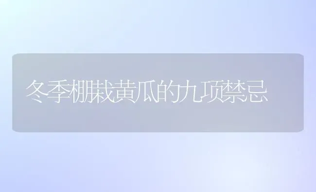 冬季棚栽黄瓜的九项禁忌 | 蔬菜种植