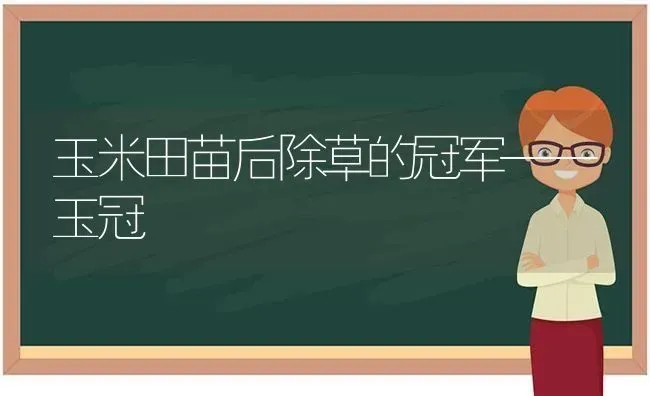 玉米田苗后除草的冠军——玉冠 | 粮油作物种植