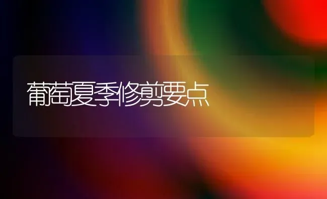 葡萄夏季修剪要点 | 瓜果种植
