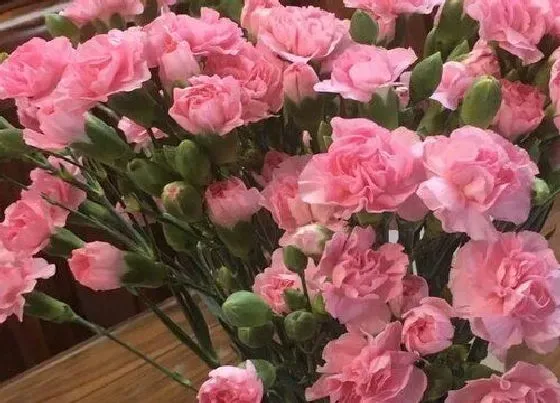 送花|父母结婚纪念日送什么花比较好 父母结婚周年送鲜花来祝福