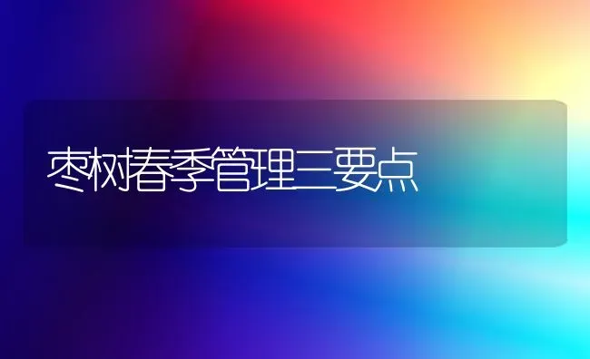 枣树春季管理三要点 | 瓜果种植