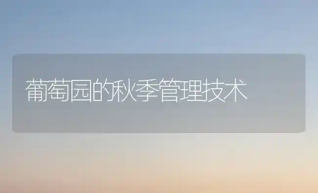 葡萄园的秋季管理技术 | 瓜果种植