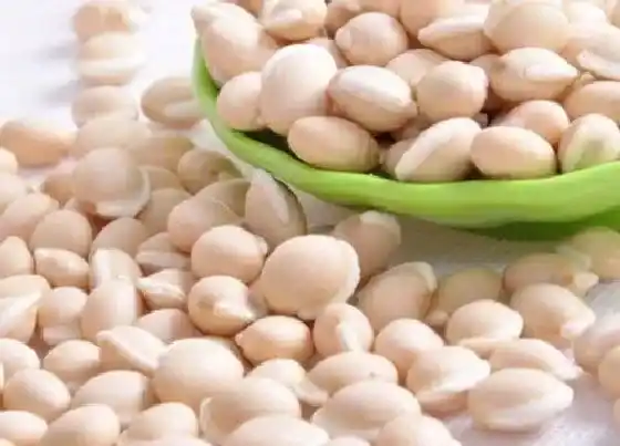 不开花|白扁豆不开花怎么回事 不开花的原因及处理方法