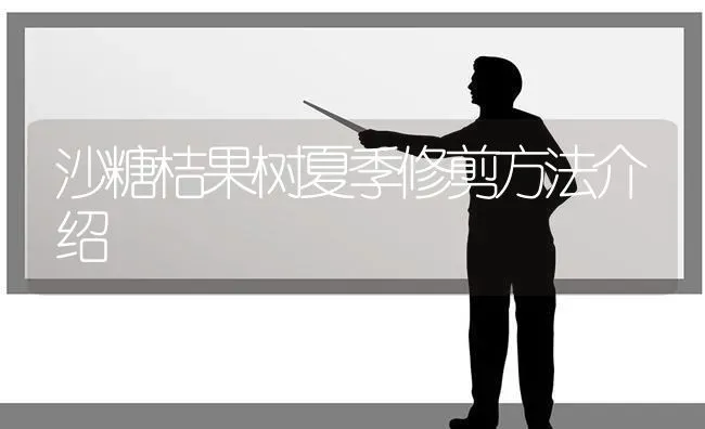 沙糖桔果树夏季修剪方法介绍 | 瓜果种植