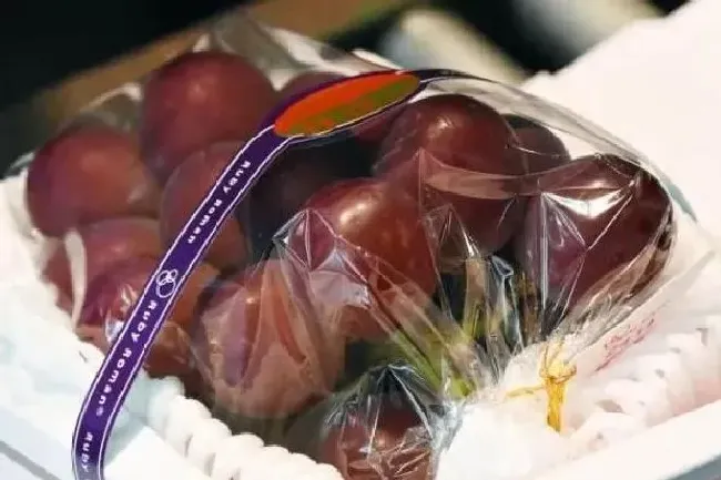 水果科普|最昂贵的水果