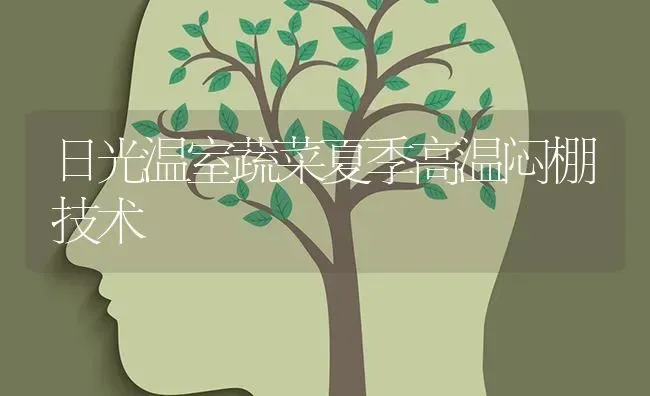 日光温室蔬菜夏季高温闷棚技术 | 蔬菜种植