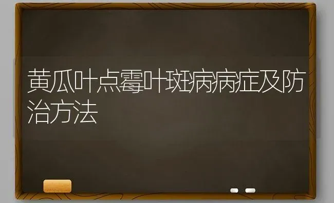 黄瓜叶点霉叶斑病病症及防治方法 | 蔬菜种植