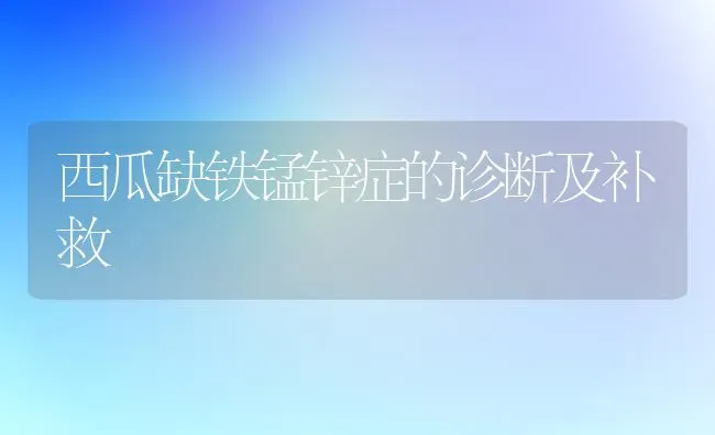 西瓜缺铁锰锌症的诊断及补救 | 瓜果种植