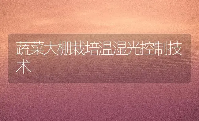 蔬菜大棚栽培温湿光控制技术 | 蔬菜种植