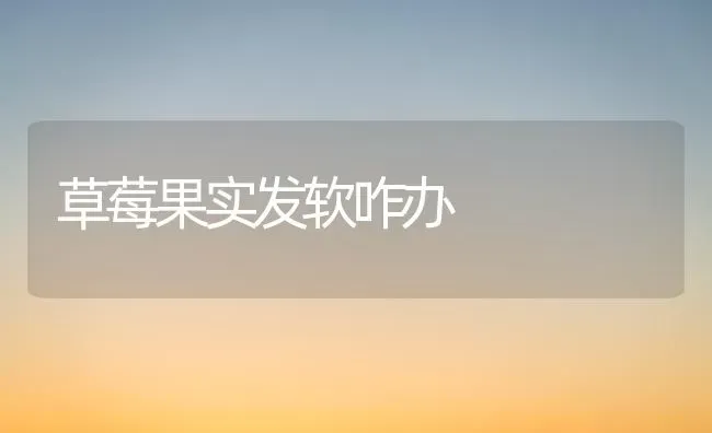 草莓果实发软咋办 | 瓜果种植