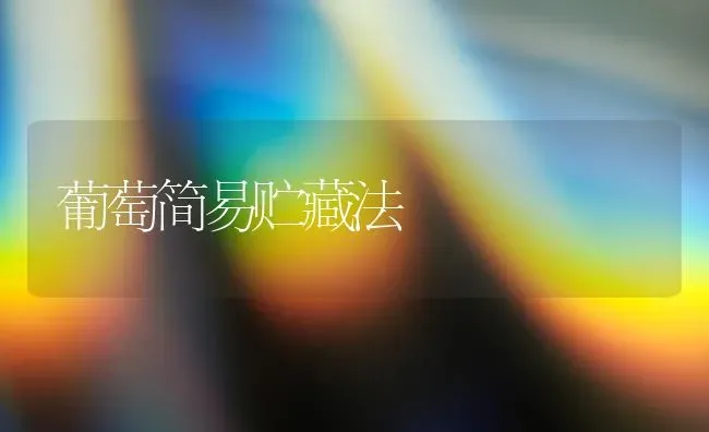 葡萄简易贮藏法 | 瓜果种植
