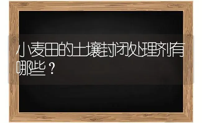 小麦田的土壤封闭处理剂有哪些？ | 粮油作物种植