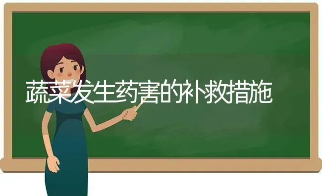 蔬菜发生药害的补救措施 | 蔬菜种植