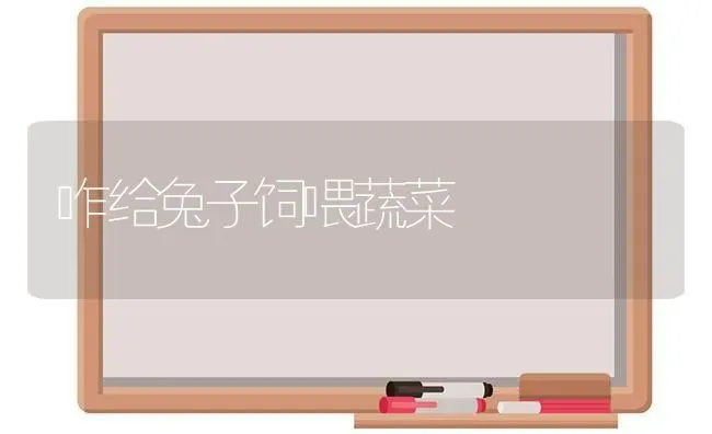 咋给兔子饲喂蔬菜 | 蔬菜种植