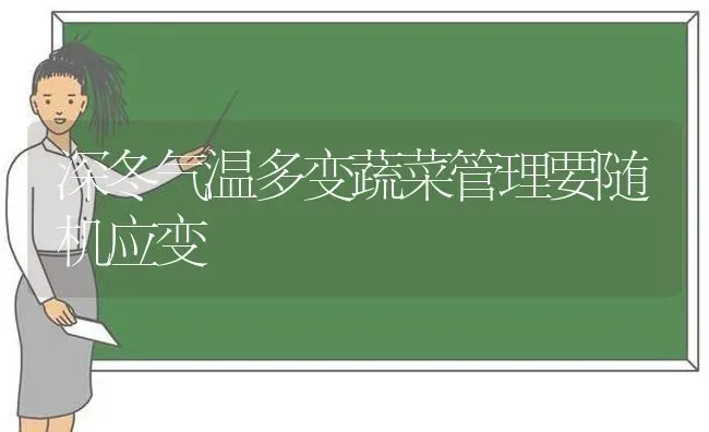 深冬气温多变蔬菜管理要随机应变 | 蔬菜种植