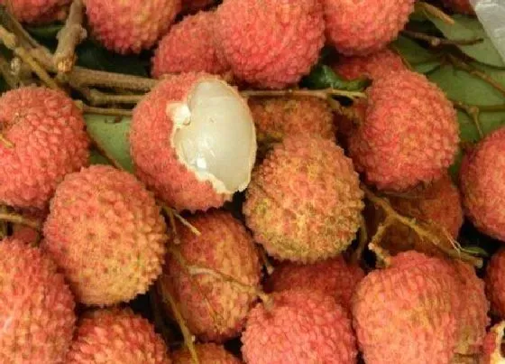 水果科普|新房入伙买什么水果合适