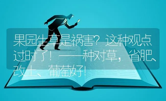 果园生草是祸害？这种观点过时了！——种对草，省肥、改土、葡萄好！ | 瓜果种植