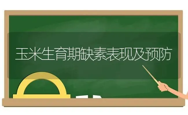 玉米生育期缺素表现及预防 | 粮油作物种植