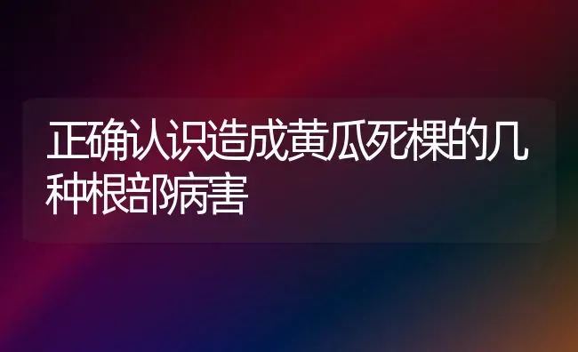 正确认识造成黄瓜死棵的几种根部病害 | 蔬菜种植