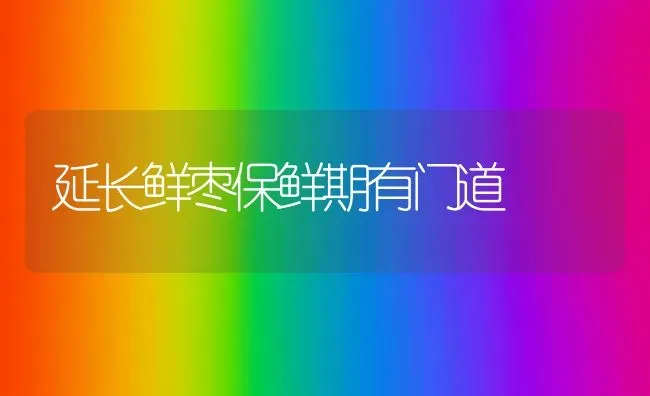 延长鲜枣保鲜期有门道 | 瓜果种植