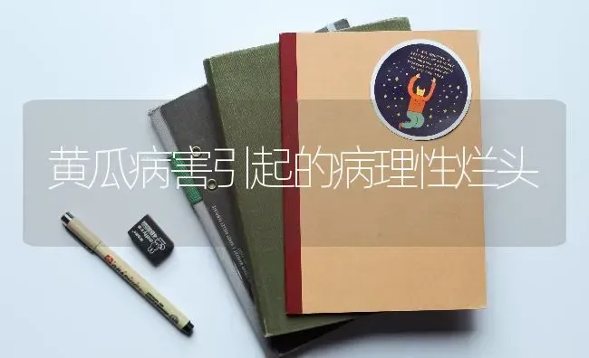 黄瓜病害引起的病理性烂头 | 蔬菜种植