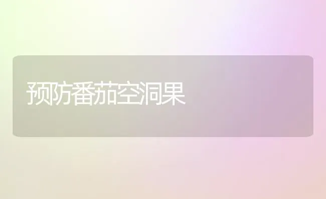 预防番茄空洞果 | 瓜果种植