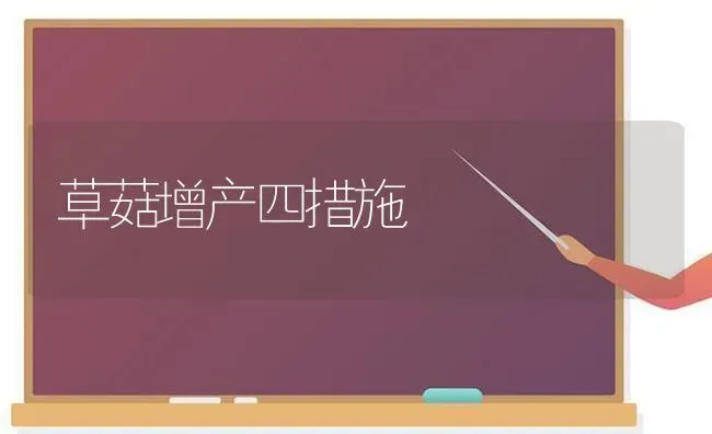 草菇增产四措施 | 食用菌种植