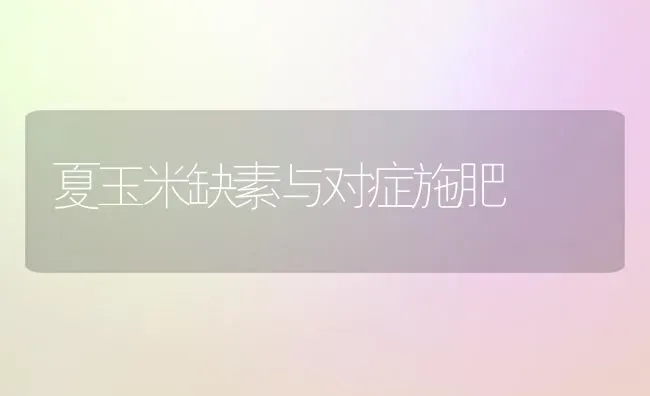 夏玉米缺素与对症施肥 | 种植肥料施肥