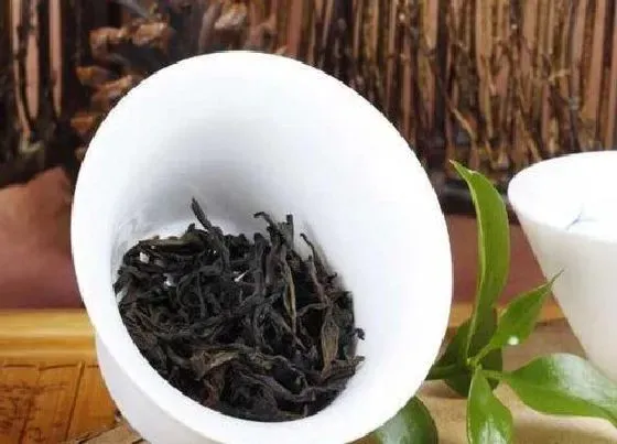 植物泡水|福建岩茶品牌排行榜前十名（武夷岩茶的好牌子最新排名）