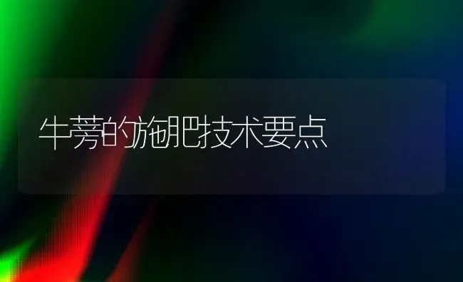 牛蒡的施肥技术要点 | 种植肥料施肥