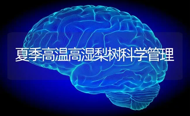 夏季高温高湿梨树科学管理 | 瓜果种植