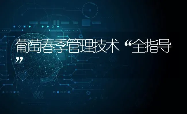 葡萄春季管理技术“全指导” | 瓜果种植