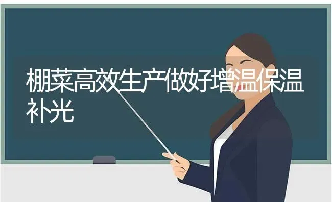 棚菜高效生产做好增温保温补光 | 蔬菜种植