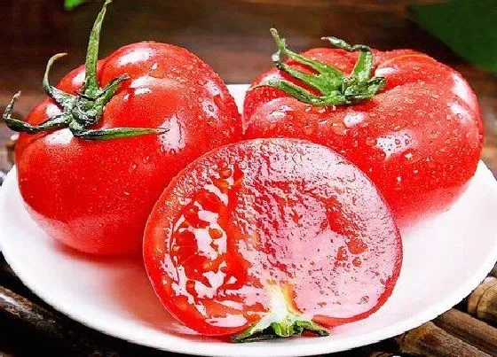 食用须知|西红柿是生吃好还是熟吃好