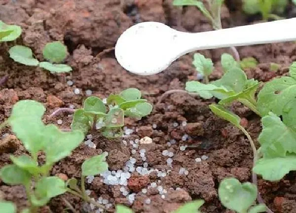 植物浇水|尿素浇花有什么好处 尿素浇花怎么使用方法