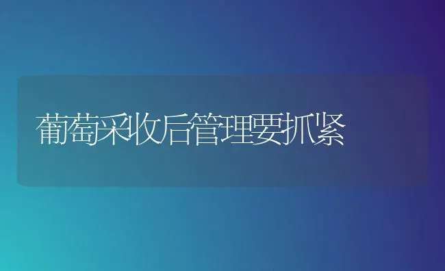 葡萄采收后管理要抓紧 | 瓜果种植