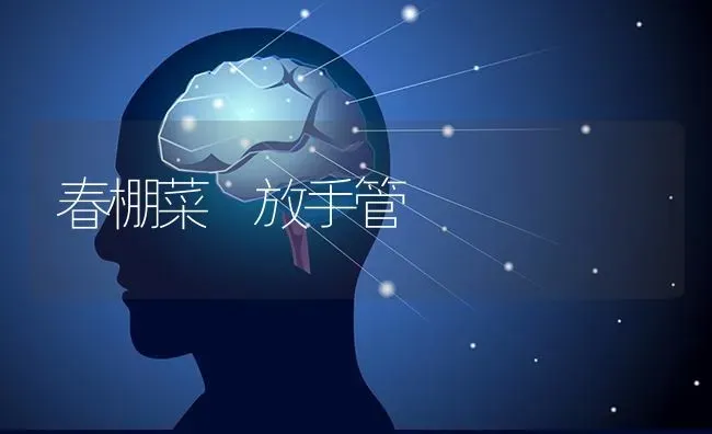 春棚菜 放手管 | 蔬菜种植