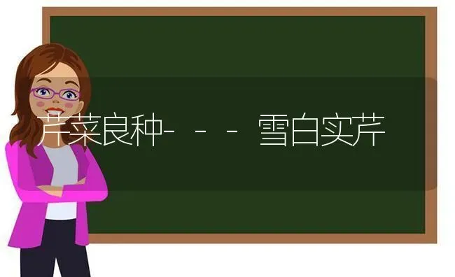 芹菜良种---雪白实芹 | 蔬菜种植