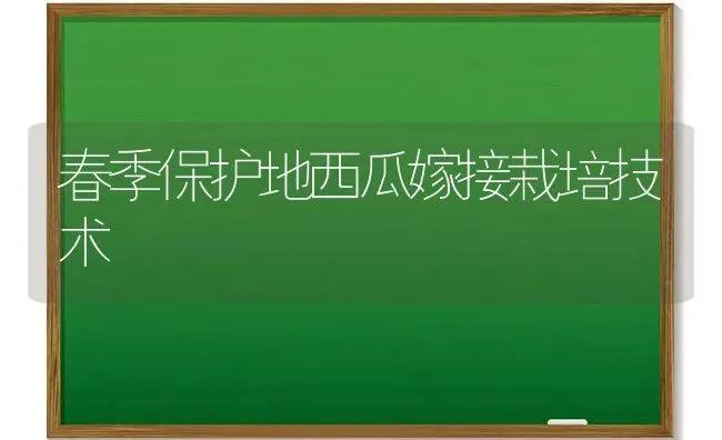 春季保护地西瓜嫁接栽培技术 | 瓜果种植
