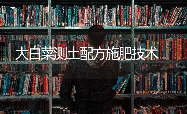 大白菜测土配方施肥技术 | 种植肥料施肥