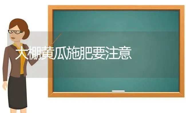 大棚黄瓜施肥要注意 | 种植肥料施肥