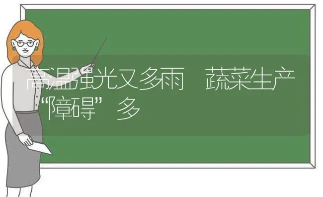 高温强光又多雨 蔬菜生产“障碍”多 | 蔬菜种植